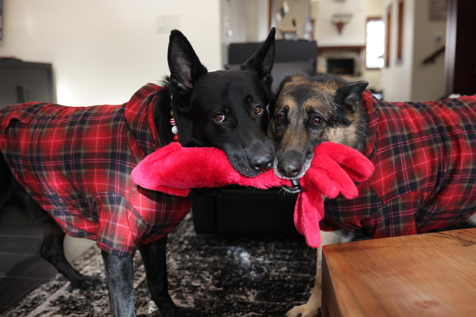 Atlas &Sasha
